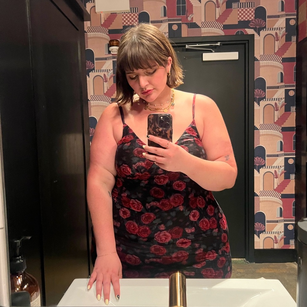 Cider Rose Mesh Maxi (size 2x)